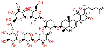 Holotoxin E